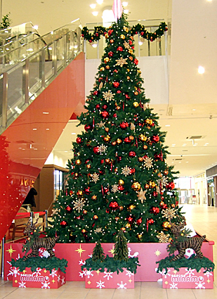 ファイル 1020-2.jpg