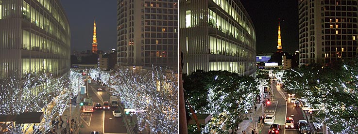 ファイル 1037-1.jpg