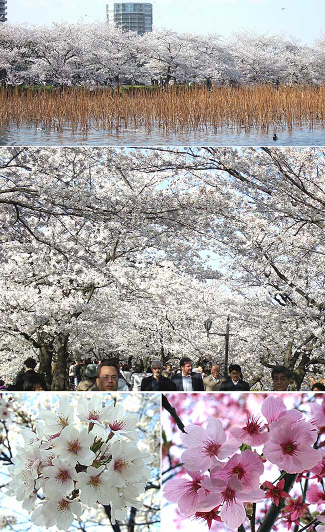 ファイル 1094-2.jpg