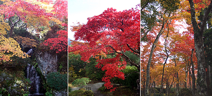 ファイル 1211-2.jpg