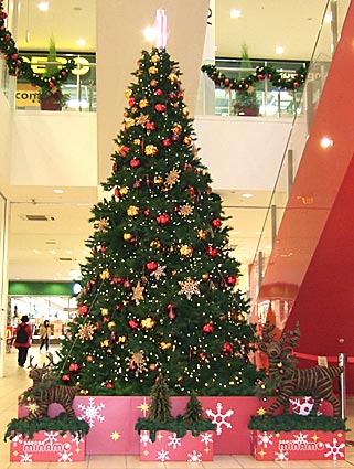 ファイル 1230-1.jpg