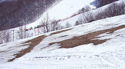 ファイル 1281-2.jpg