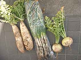 ファイル 132-1.jpg