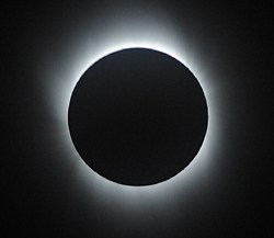 ファイル 1334-1.jpg