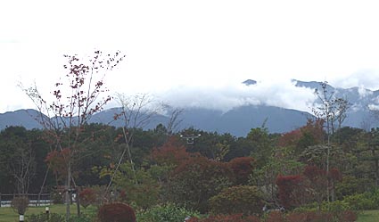 ファイル 1380-1.jpg