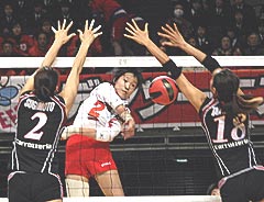 ファイル 1413-1.jpg