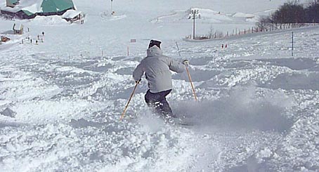 ファイル 1435-3.jpg