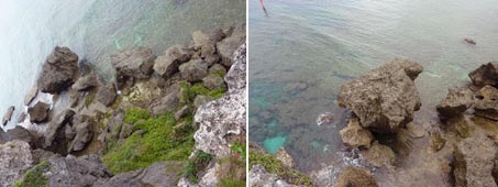 ファイル 1468-5.jpg