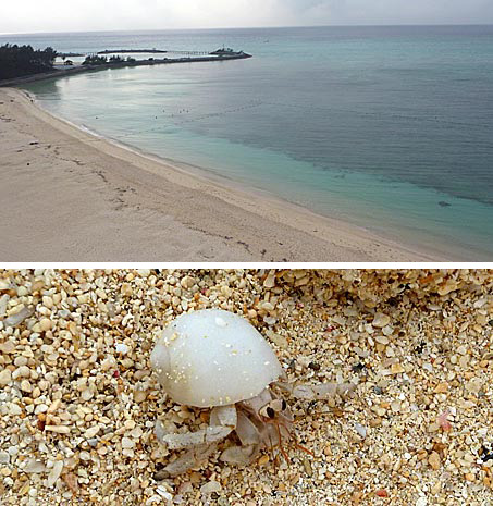 ファイル 1469-2.jpg