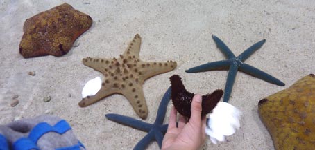 ファイル 1470-2.jpg