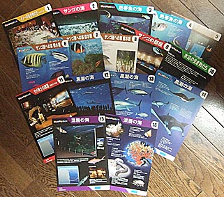 ファイル 1470-3.jpg