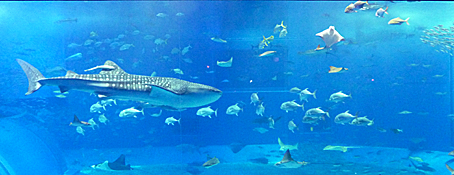 ファイル 1470-4.jpg