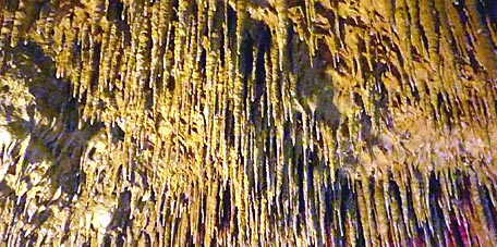 ファイル 1472-2.jpg