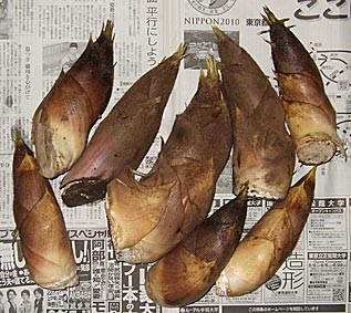 ファイル 1491-1.jpg