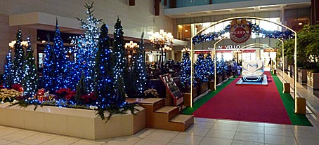 ファイル 1620-1.jpg