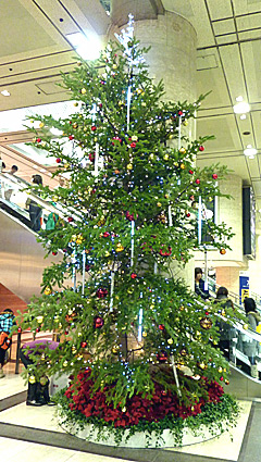 ファイル 1634-3.jpg