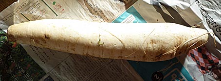 ファイル 1637-3.jpg