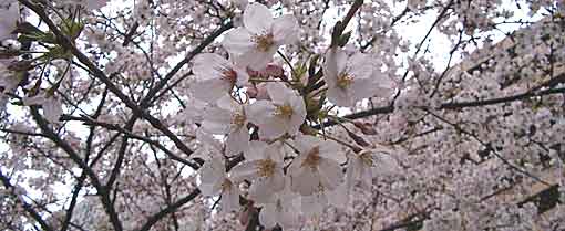 ファイル 164-1.jpg