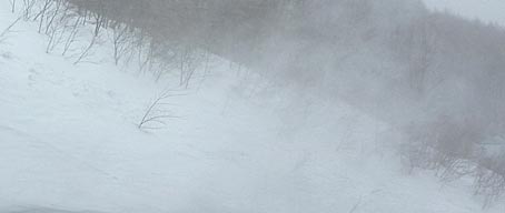 ファイル 1652-1.jpg