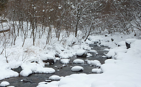 ファイル 1652-2.jpg