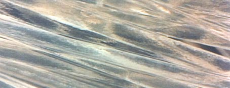 ファイル 1662-1.jpg