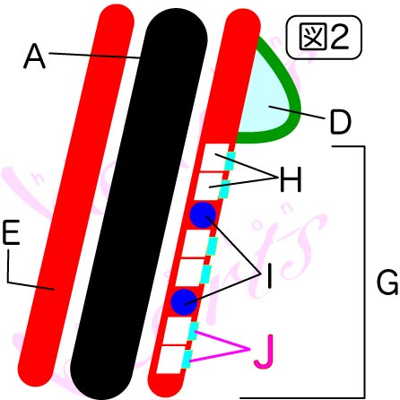 ファイル 1662-3.jpg