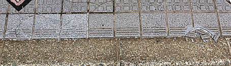 ファイル 1721-1.jpg