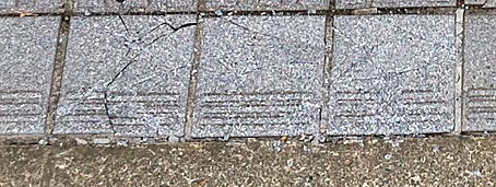 ファイル 1721-3.jpg