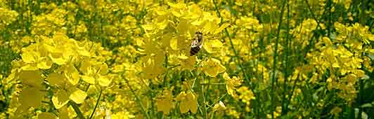 ファイル 174-1.jpg