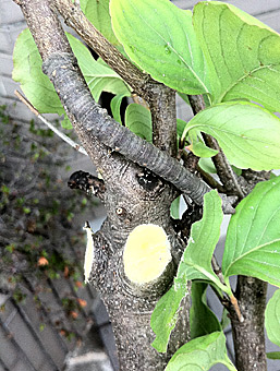 ファイル 1760-3.jpg