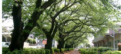 ファイル 178-2.jpg