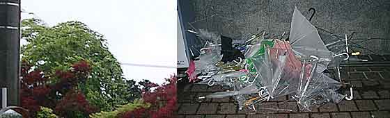 ファイル 182-1.jpg