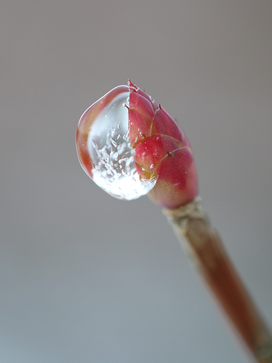 ファイル 1843-2.jpg