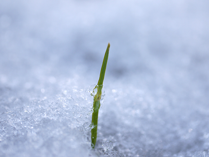 ファイル 1843-3.jpg