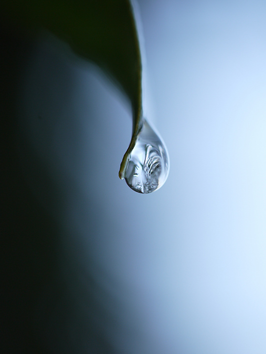 ファイル 1843-5.jpg