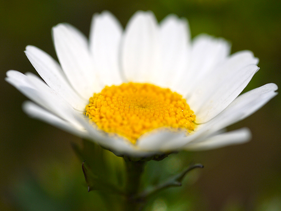 ファイル 1866-4.jpg