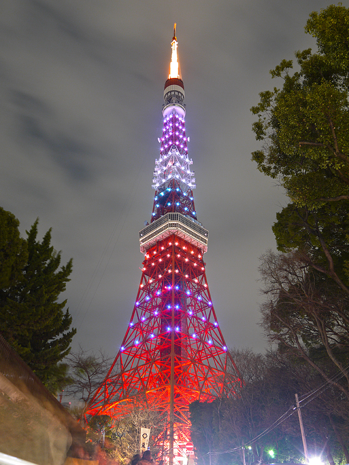 ファイル 1870-2.jpg