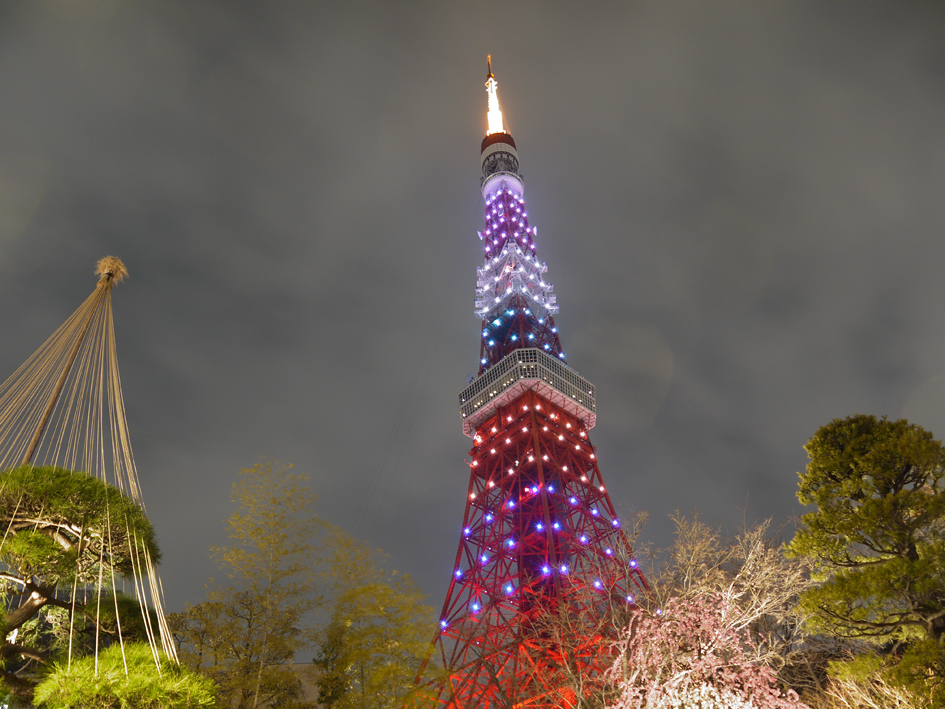 ファイル 1870-3.jpg