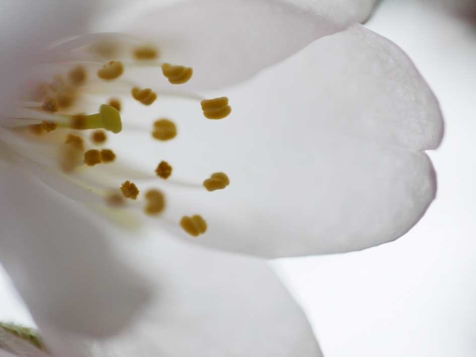 ファイル 1876-2.jpg