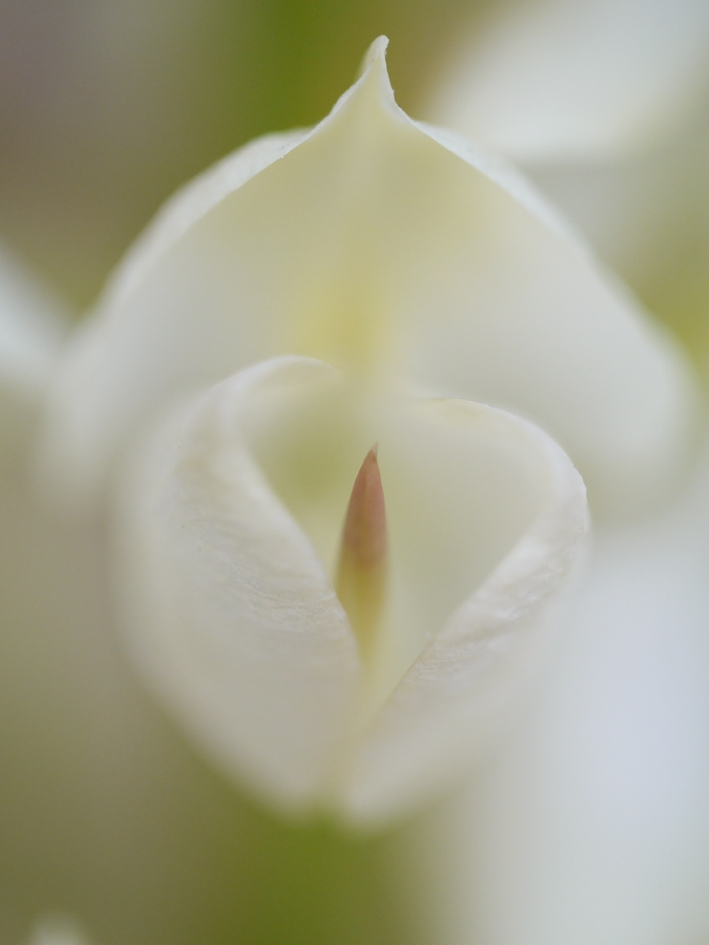 ファイル 1876-3.jpg