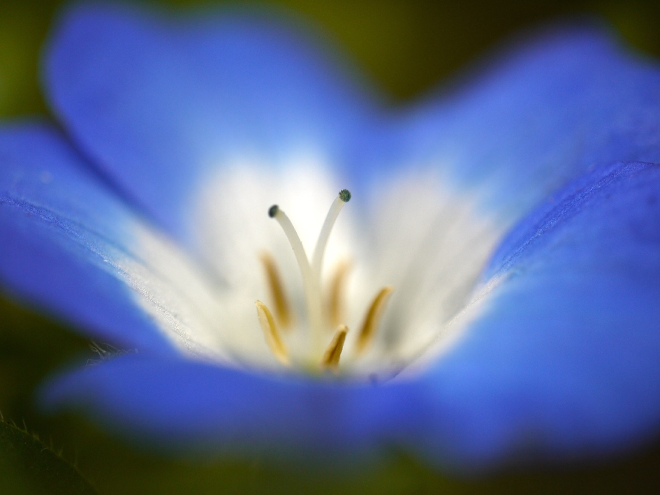 ファイル 1876-4.jpg