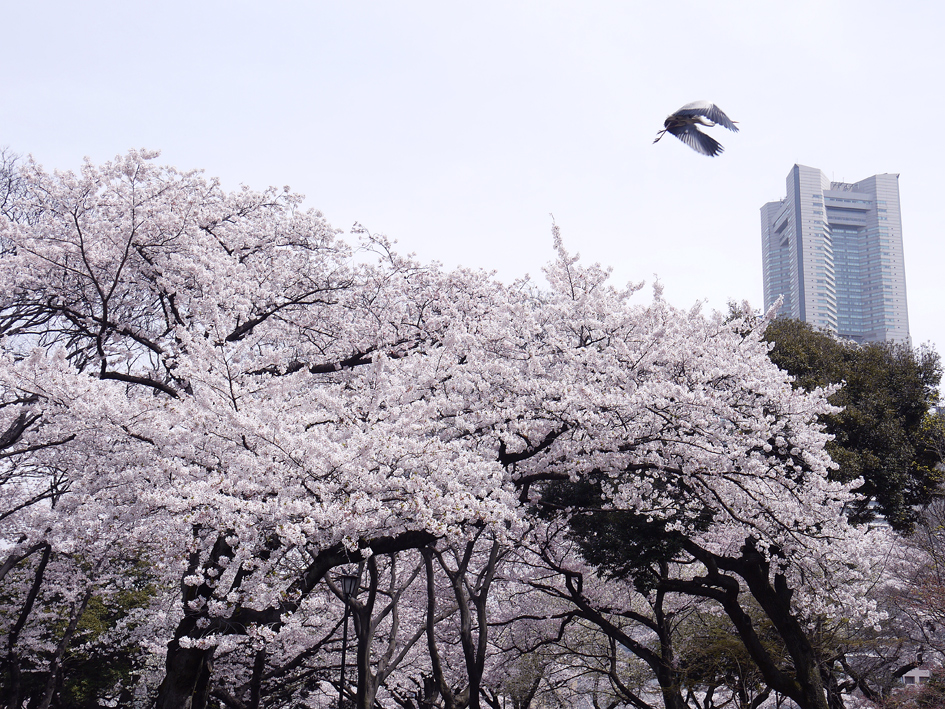 ファイル 1879-4.jpg