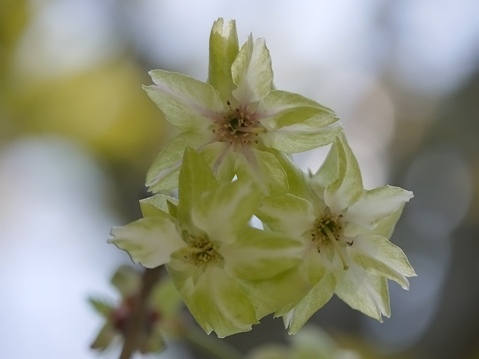 ファイル 1887-2.jpg