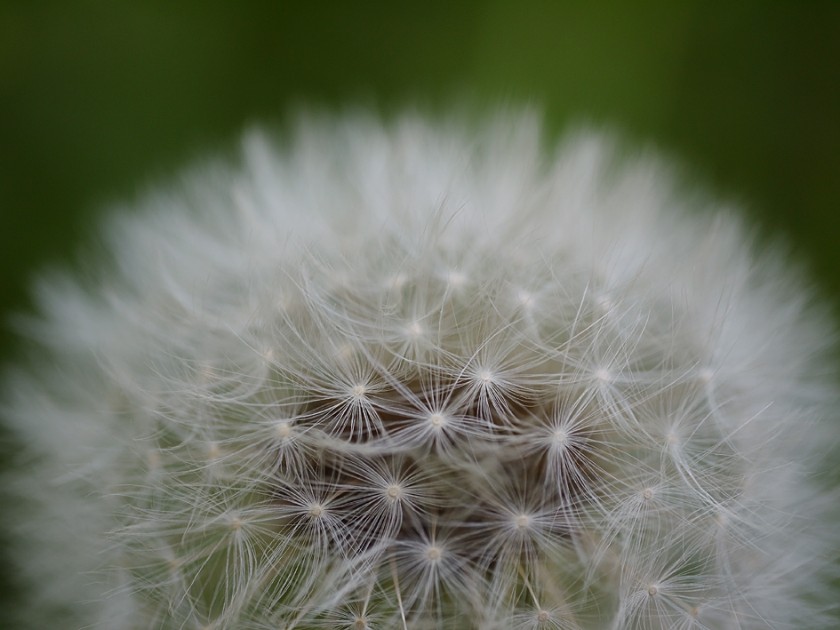 ファイル 1887-5.jpg