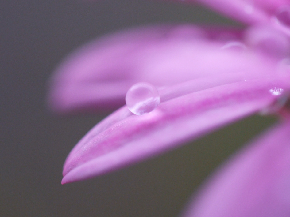 ファイル 1889-2.jpg