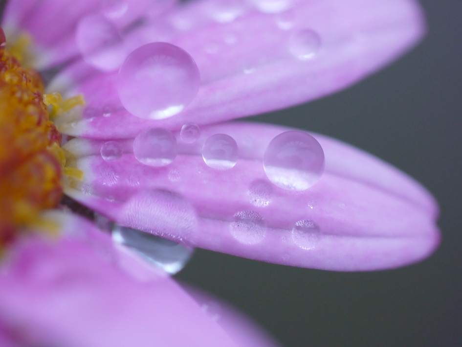 ファイル 1889-3.jpg