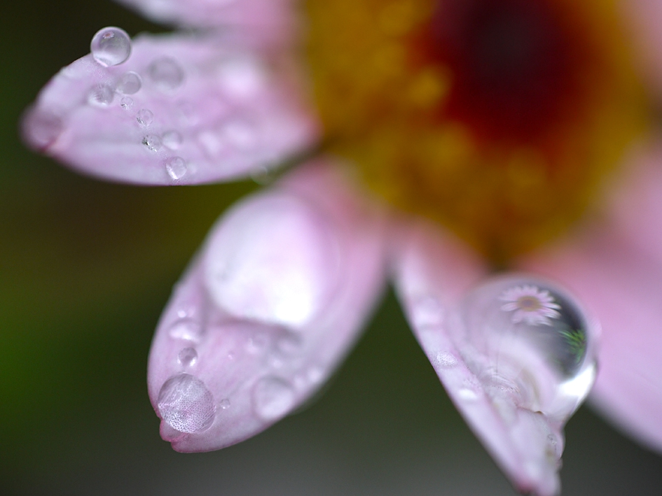 ファイル 1892-2.jpg