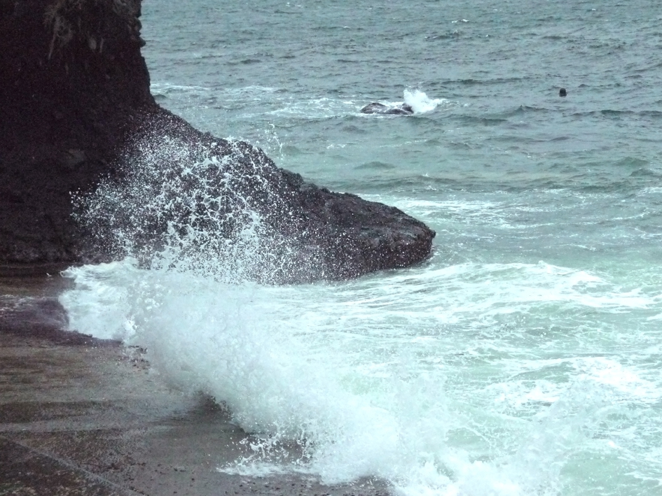 ファイル 1901-3.jpg