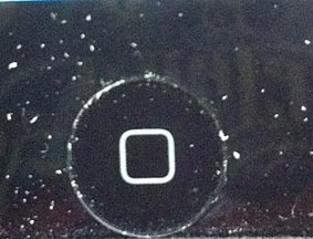 ファイル 1949-2.jpg