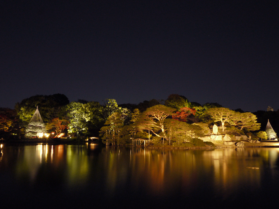 ファイル 1995-2.jpg